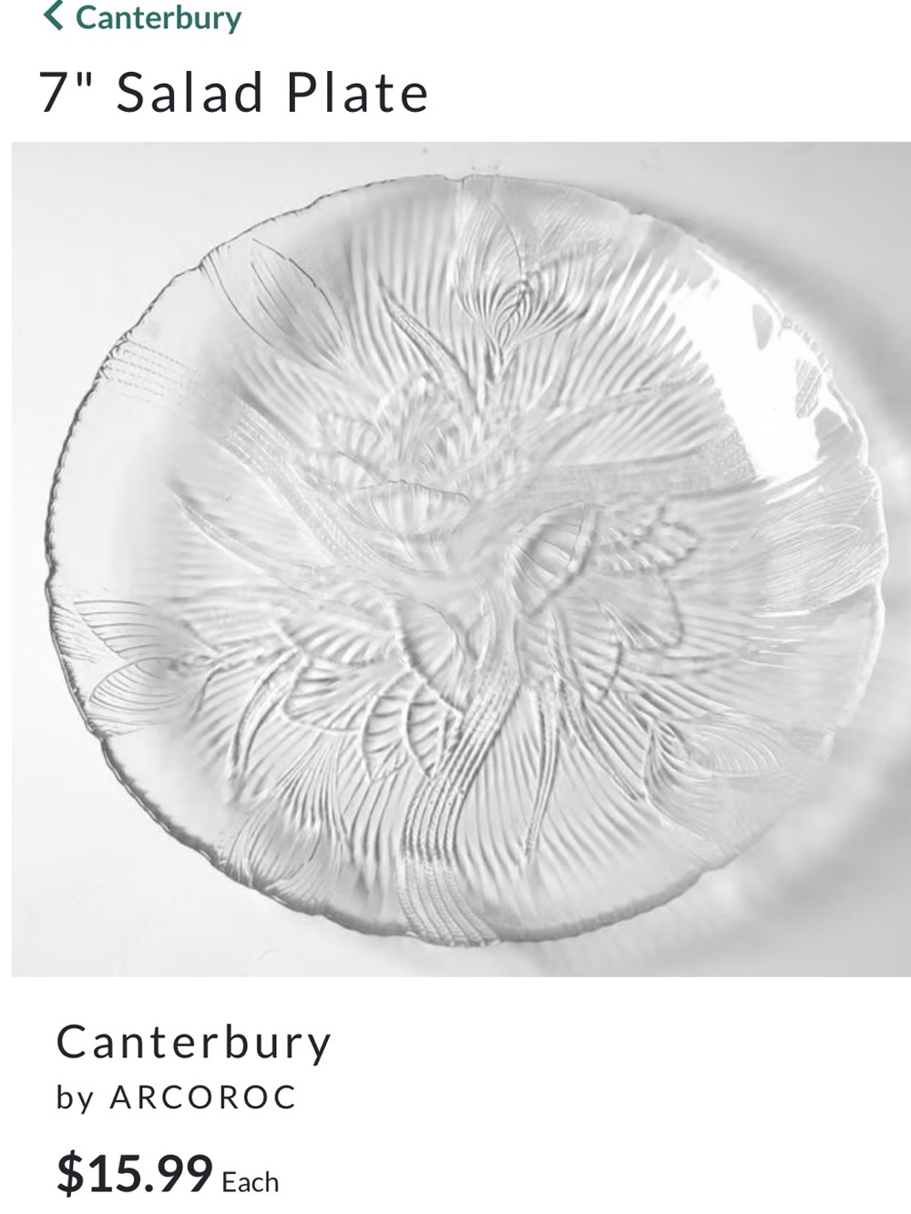 Canterbury
by ARCOROC glass salad plates,6pc!EXCELLENT